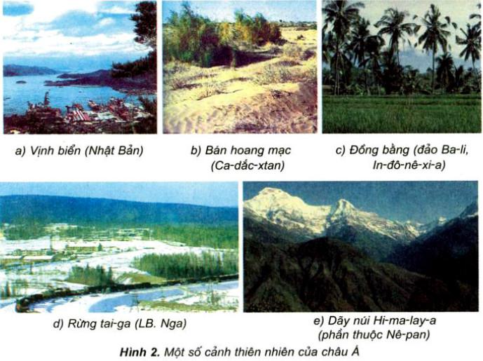 Bài 17: Châu Á - Giải bài tập - Địa lý lớp 5