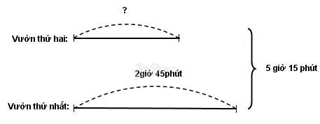 Giải Vở bài tập Toán lớp 5 bài 124 Trừ số đo thời gian chi tiết nhất