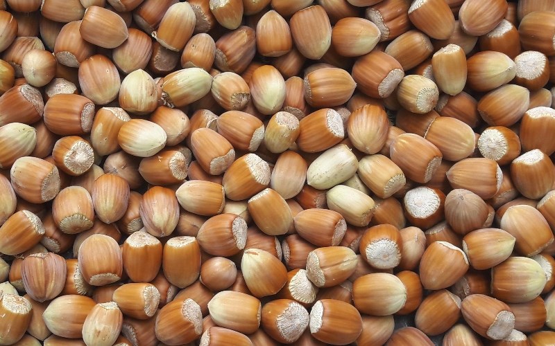 Top 9 loại hạt tốt nhất cho sức khỏe