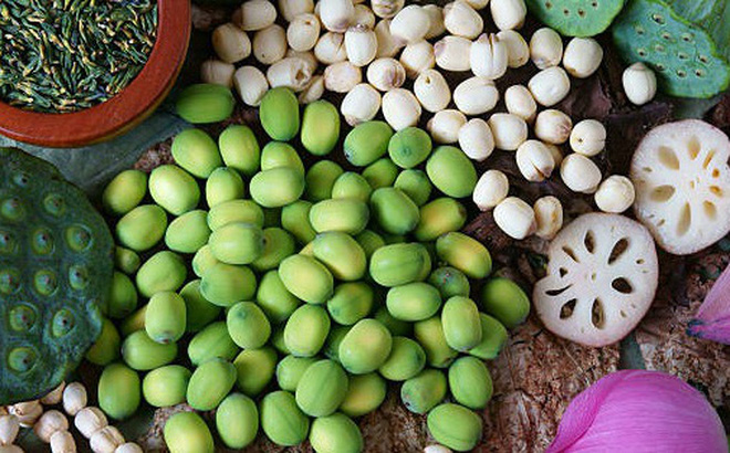 Tác dụng hạt sen tốt như thế nào cho sức khỏe?