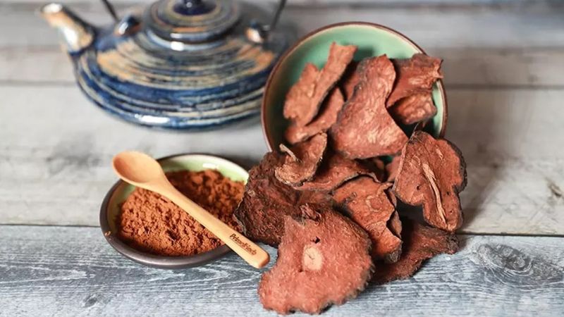Lợi ích của hà thủ ô đối với sức khỏe