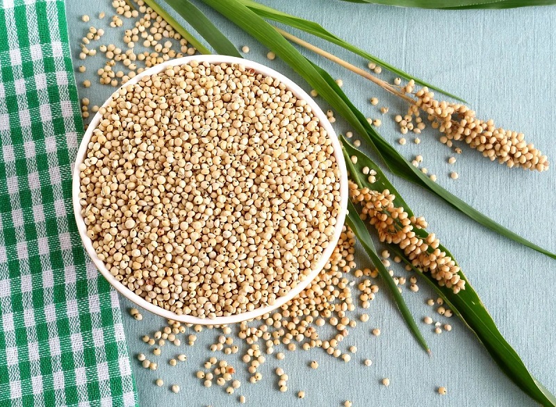 Hạt cao lương là gì? Công dụng của Hạt cao lương theo dân gian