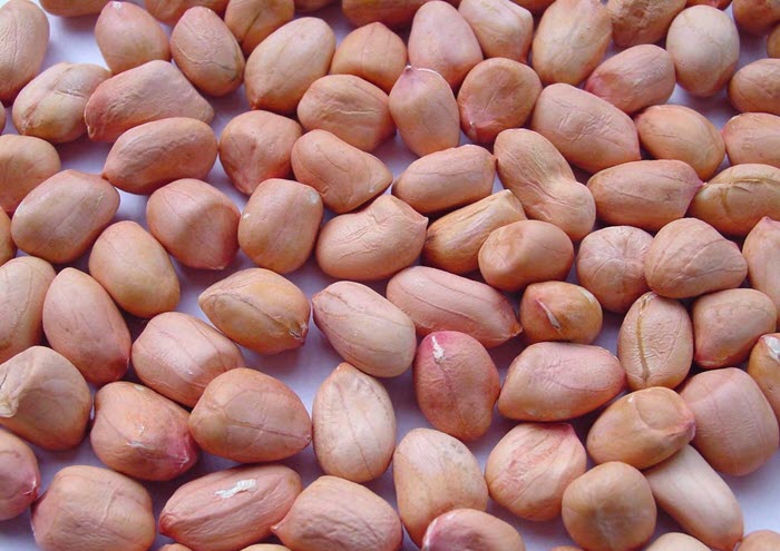 Bị tiểu đường có nên ăn lạc không ?