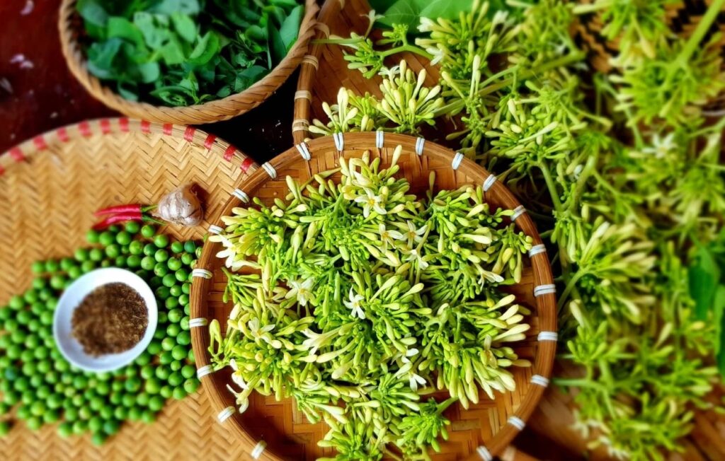 Công dụng của hoa đu đủ đực là gì?
