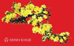 Chúc mừng năm mới 2013!