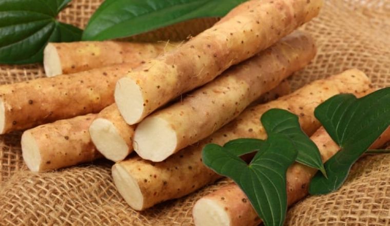 Củ mài có tác dụng gì?