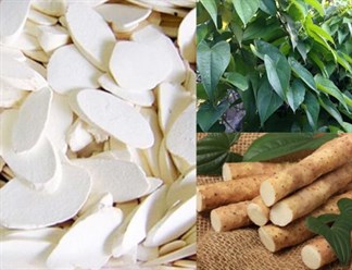 Những tác dụng của Củ mài (hoài sơn) theo kinh nghiệm dân gian?