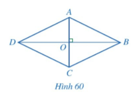 Giải Toán 8 Bài 6 (sách mới) - Chân trời sáng tạo, Kết nối tri thức, Cánh diều