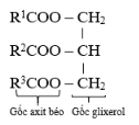 Chất béo là gì? Chất béo là trieste của axit béo với?