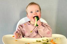 Tìm hiểu về lợi ích và nguyên tắc ăn dặm tự chỉ huy?