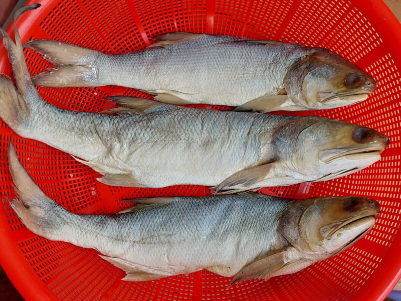 Cá chét muối dùi