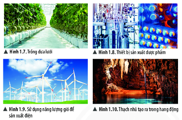 Khoa học Tự nhiên dành cho lớp 6 bài 1 Giới thiệu về khoa học tự nhiên