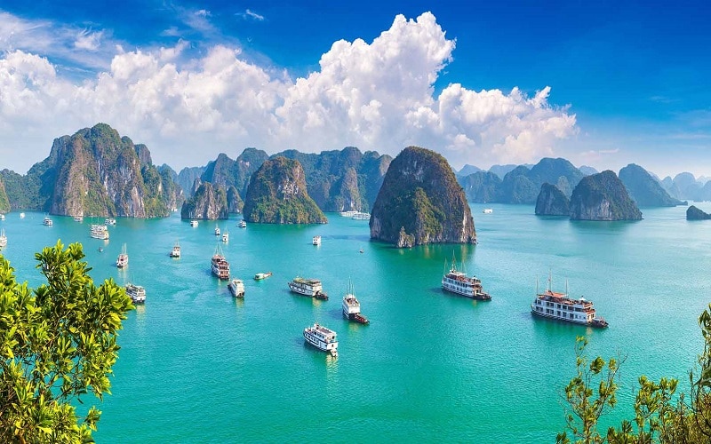 Điều kiện diện tích tối thiểu tách thửa đất tại Quảng Ninh