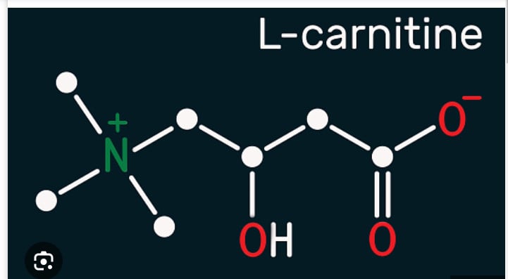 L-Carnitine l g ? C li ch, tc dng ph, ngun v liu dng nh th