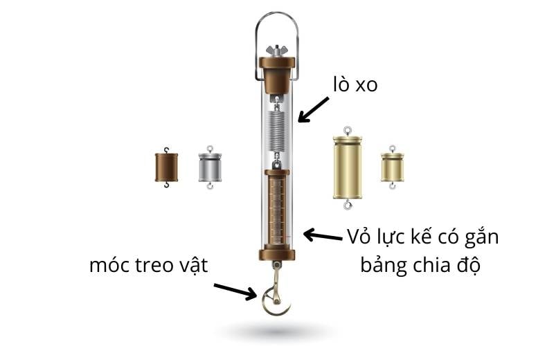 Lực đàn hồi là gì? Lực đàn hồi của lò xo? Định luật Húc?