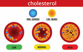 Cholesterol là gì? Tất tần tật những điều cần biết về Cholesterol