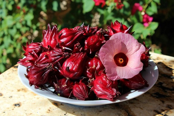 Tổng hợp các cách làm món ăn với hoa hồng cực ngon cho ngày 20/10
