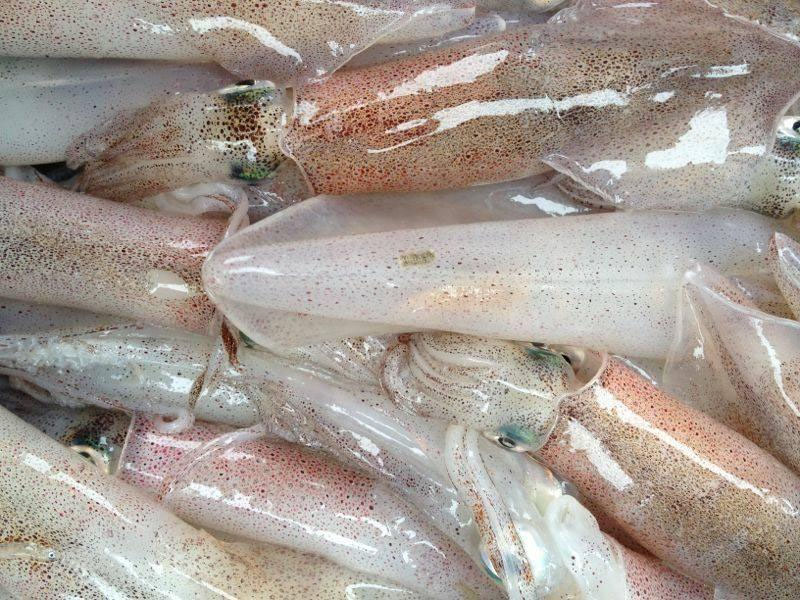Thành phần dinh dưỡng từ mực ống như thế nào?