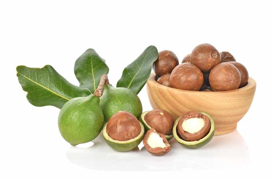 Hạt macca có giá trị dinh dưỡng như thế nào?