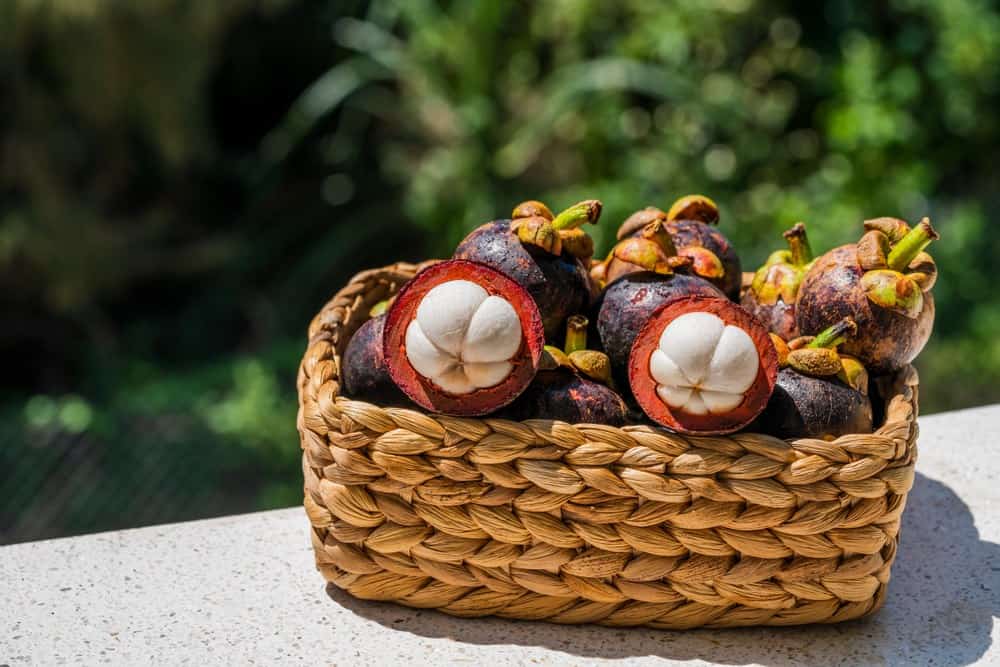 Thành phần dinh dưỡng của quả măng cụt như thế nào?