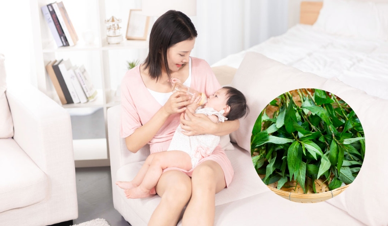 Lưu ý những thực phẩm có thể khiến các mẹ mất sữa