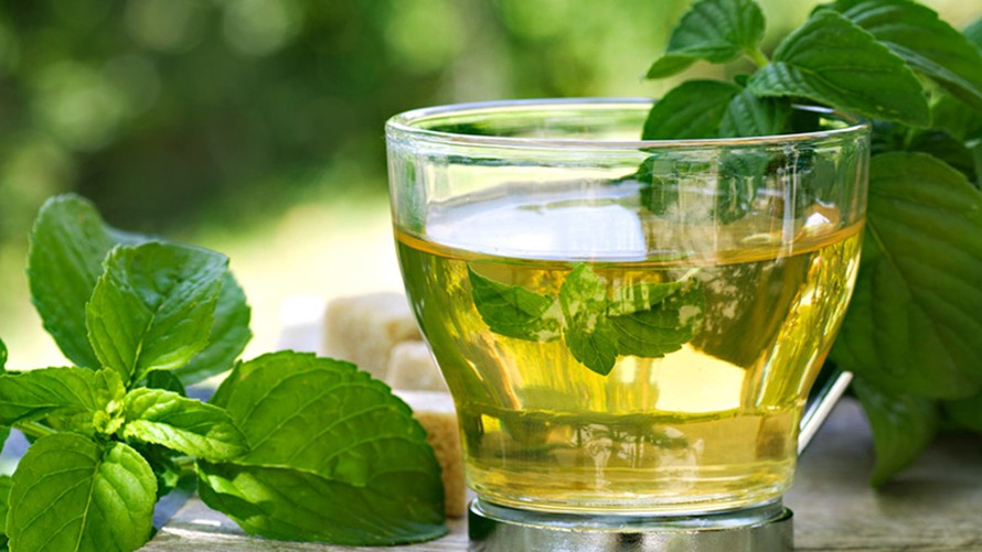 Tổng hợp các lợi ích của trà bạc hà