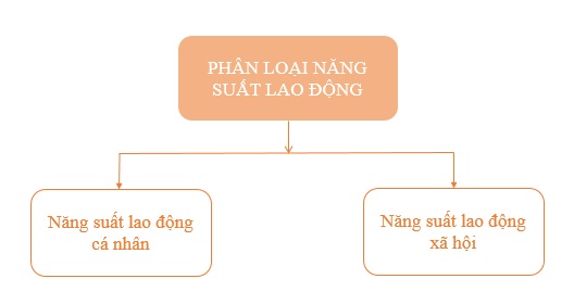 Năng suất lao động xã hội là gì? Cách tính năng suất lao động chính xác nhất