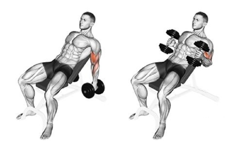 Cách làm bắp tay to ra với bài tập Hammer Curl