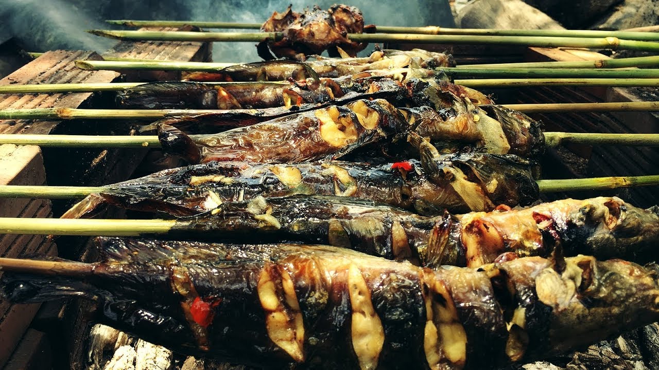 Cá trê làm món gì ngon? Những món ăn ngon từ cá trê dễ nấu
