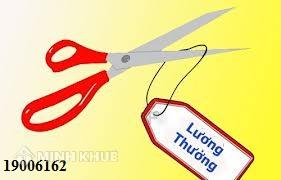 Tư vấn xin nghỉ việc không lương?