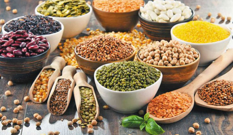 Thức ăn: cần ăn bao nhiêu mỗi ngày?