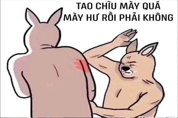 Meme là gì? Meme la gì trên Facebook? Top 10 Meme phổ biến