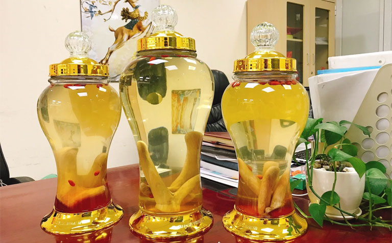 Công dụng chữa bệnh của nhung hươu