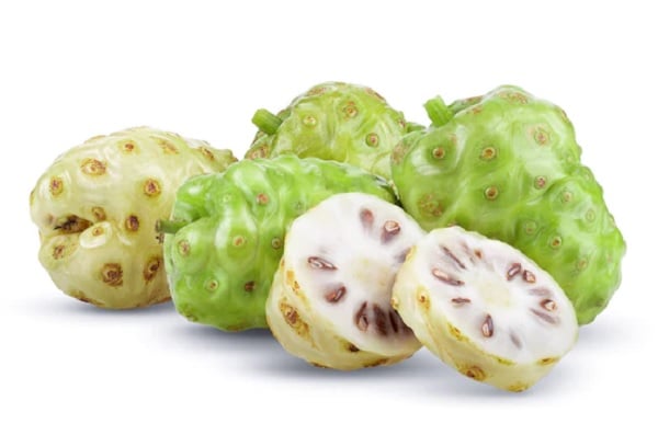 Trái nhàu (Noni) là quả gì? Công dụng của trái nhàu