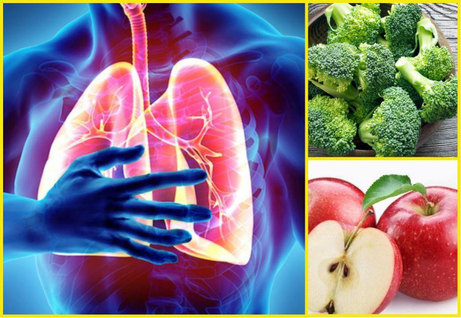 Tổng hợp thực phẩm tốt cho phổi hiện nay