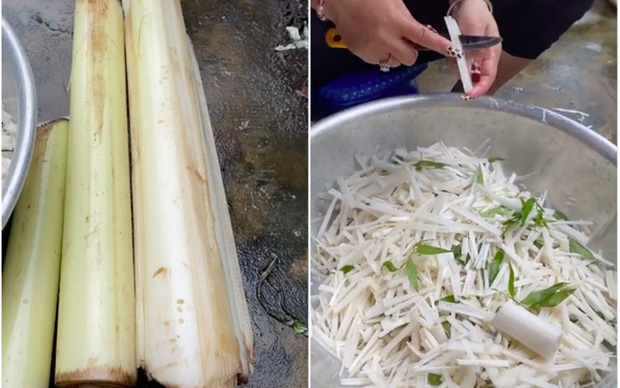 Lợi ích của thân cây chuối mà không phải ai cũng biết