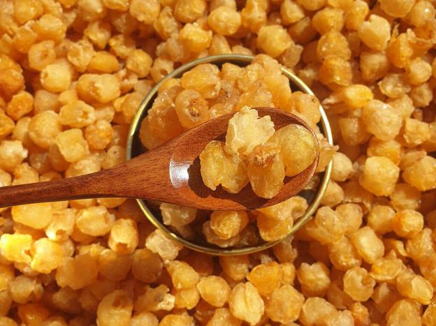 Vị thuốc long nhãn, tác dụng và một số lưu ý khi dùng