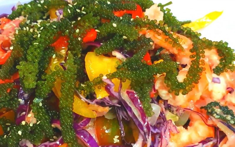 Những món salad thanh mát giải nhiệt ngày hè ngon khó cưỡng