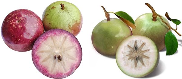 Quả vú sữa ăn có tốt cho bà bầu không?