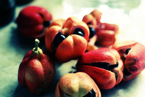 Quả Ackee là gì? Quả tử thần nhưng bổ dưỡng
