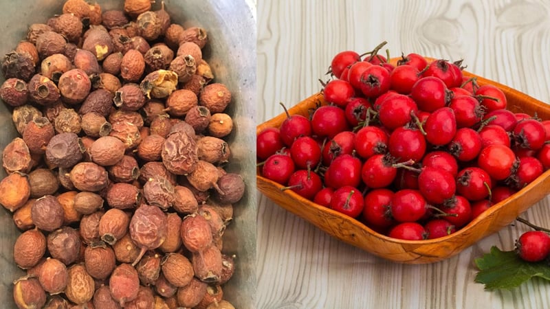 Công dụng của quả sơn tra đối với sức khỏe