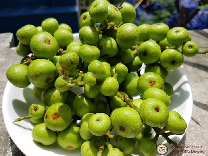 Nên ăn gì để tăng khả năng tình dục cho đàn ông?