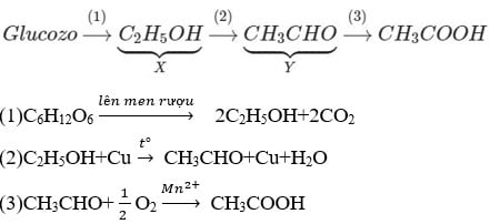 Cho sơ đồ chuyển hoá: Glucozơ → X → Y → CH3COOH. Hai chất X, Y lần lượt là?