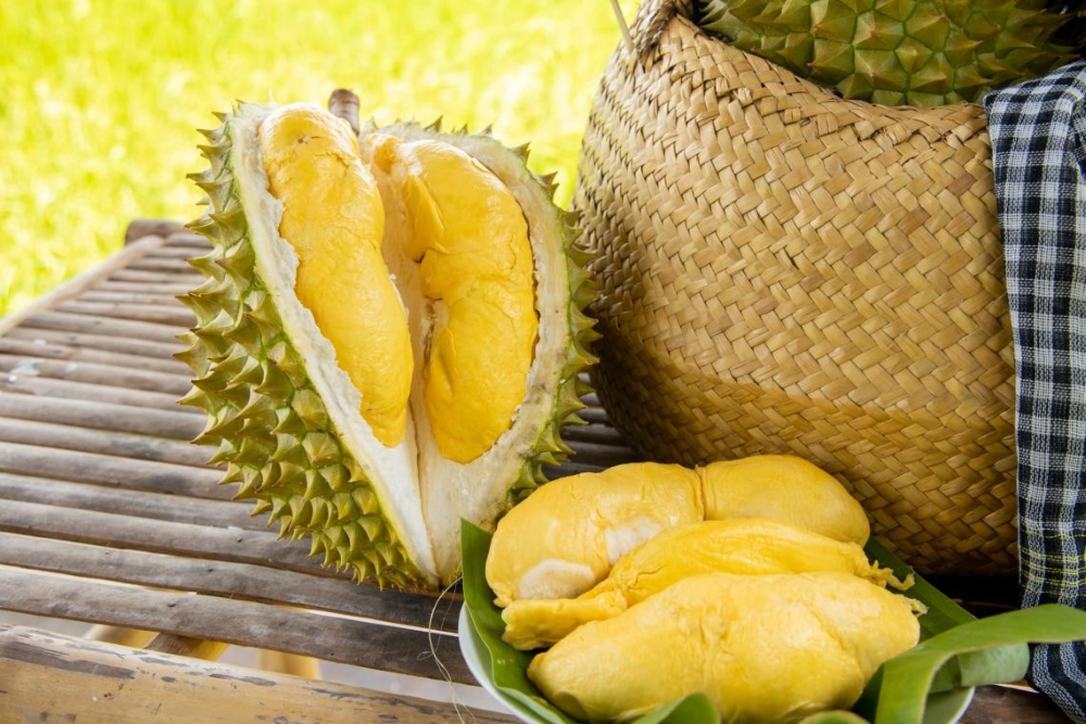 Sầu riêng bao nhiêu calo? Giá cả, cách ăn sầu riêng đúng