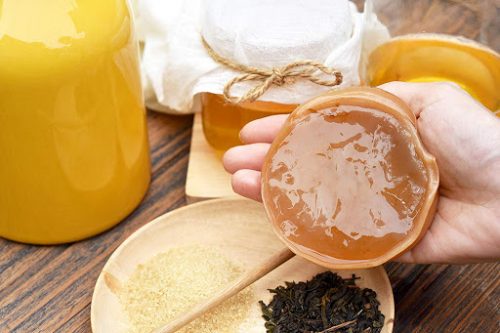 Kombucha là gì? Cách nuôi, bảo quản Scoby trong trà Kombucha đơn giản