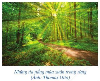 Toán lớp 6 Bài 4: Tia Cánh diều