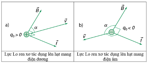 Độ lớn của lực Lo – ren – xơ không phụ thuộc vào yếu tố gì?