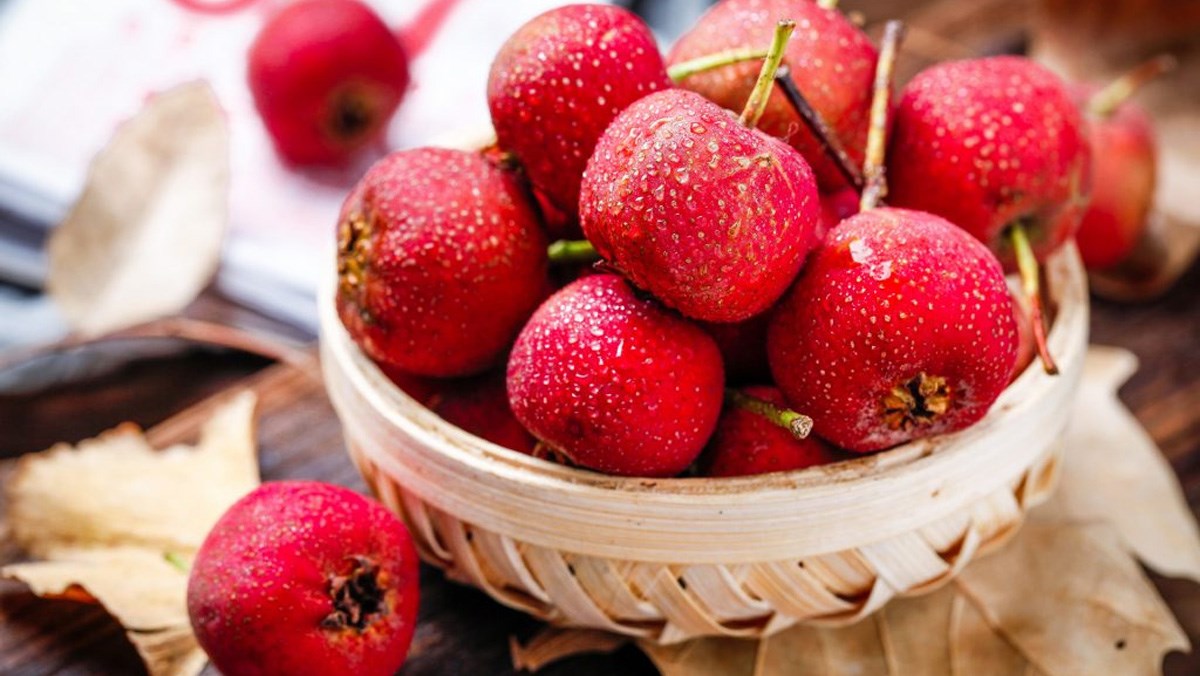 Công dụng của quả sơn tra đối với sức khỏe