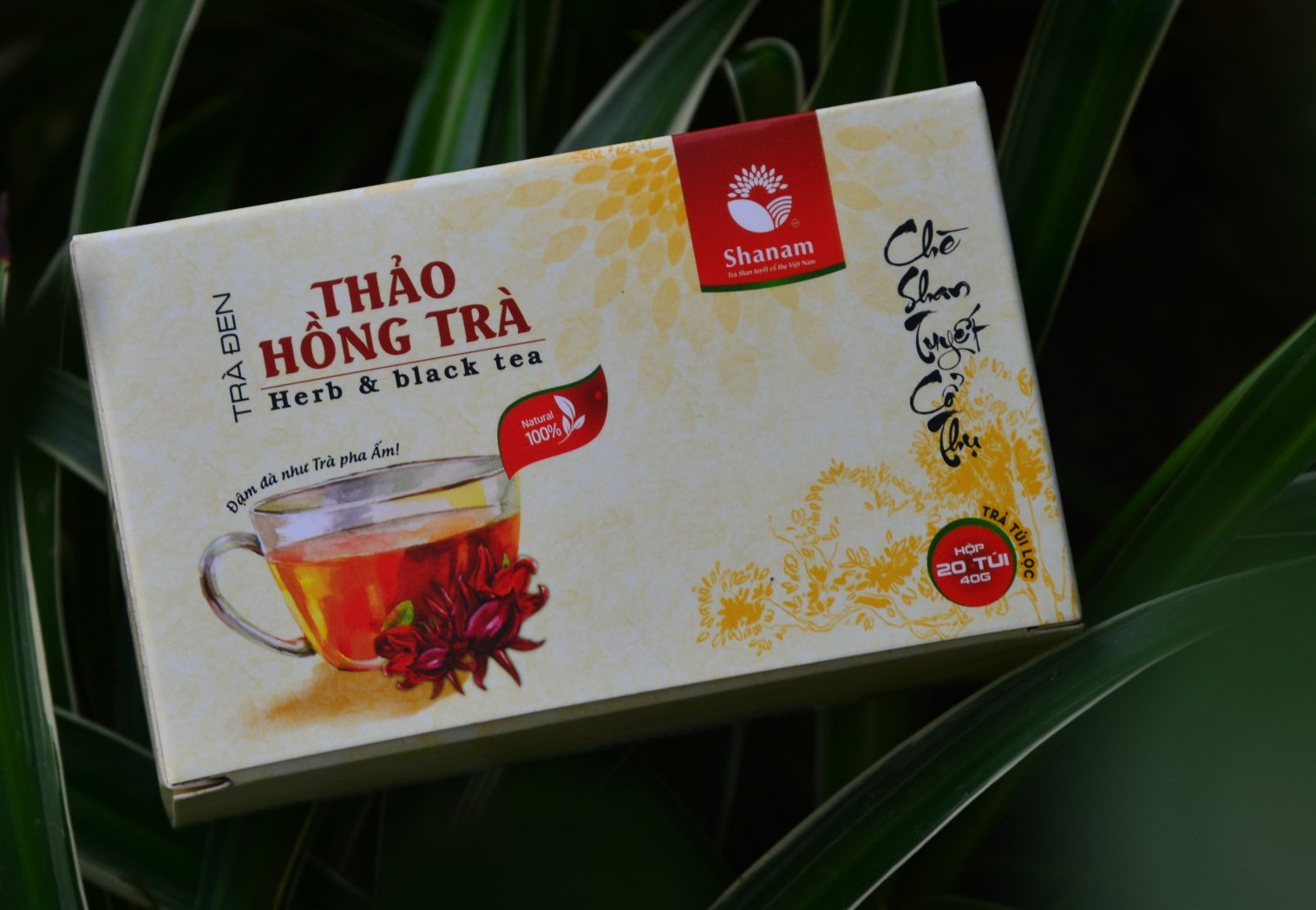 Mẹo chữa bỏng từ những nguyên liệu có sẵn, đơn giản, hiệu quả
