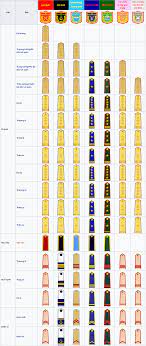 Cấp bậc, quân hàm trong quân đội Việt Nam hiện nay?